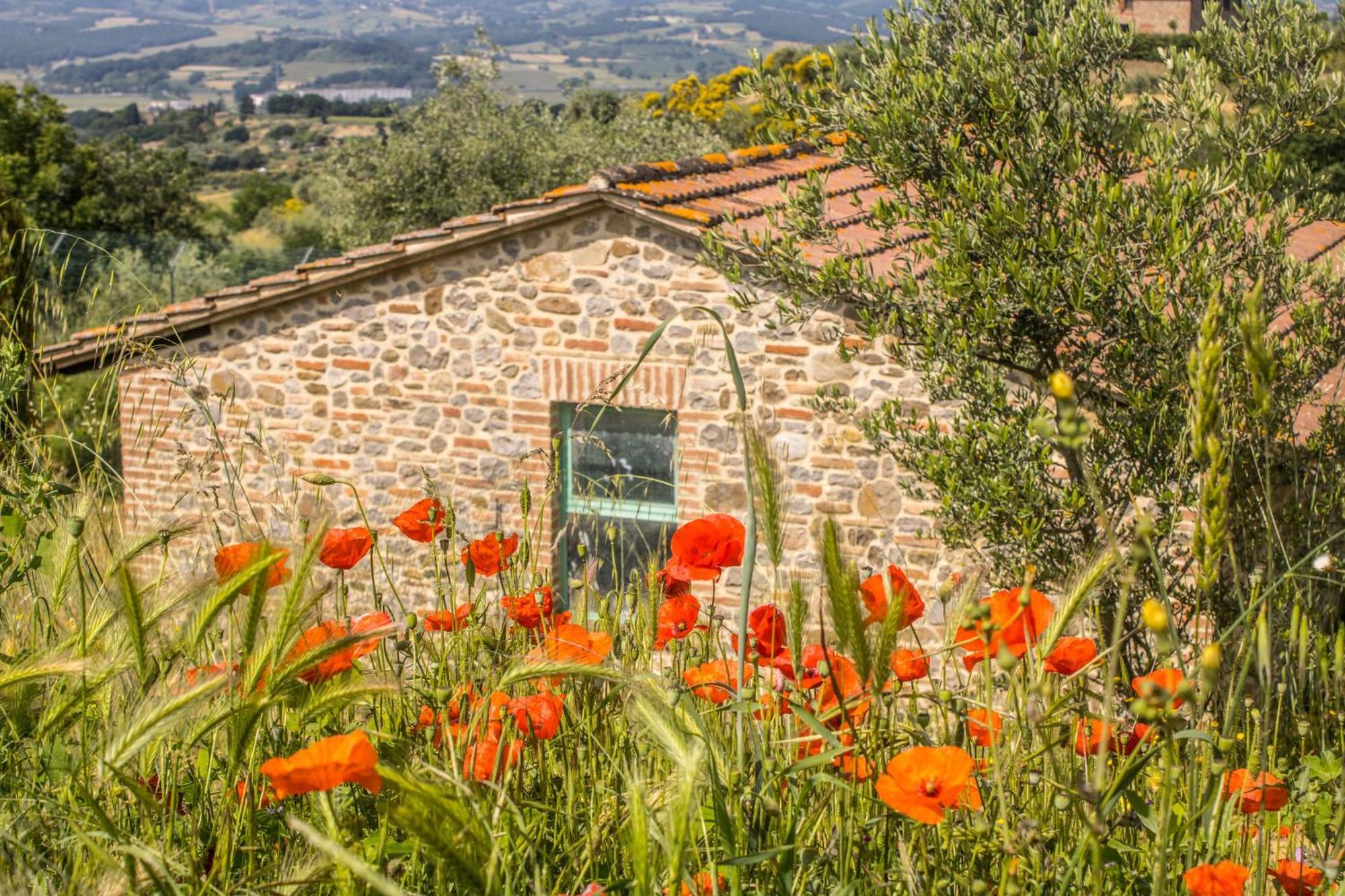 Agriturismo Dandelion Città della Pieve Zewnętrze zdjęcie