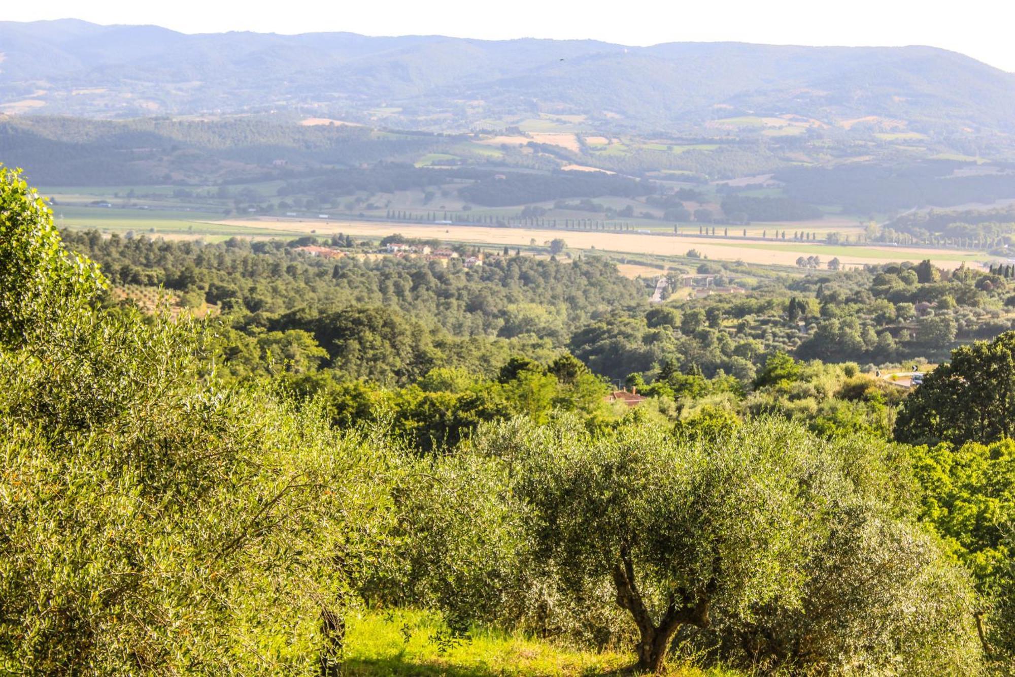 Agriturismo Dandelion Città della Pieve Zewnętrze zdjęcie